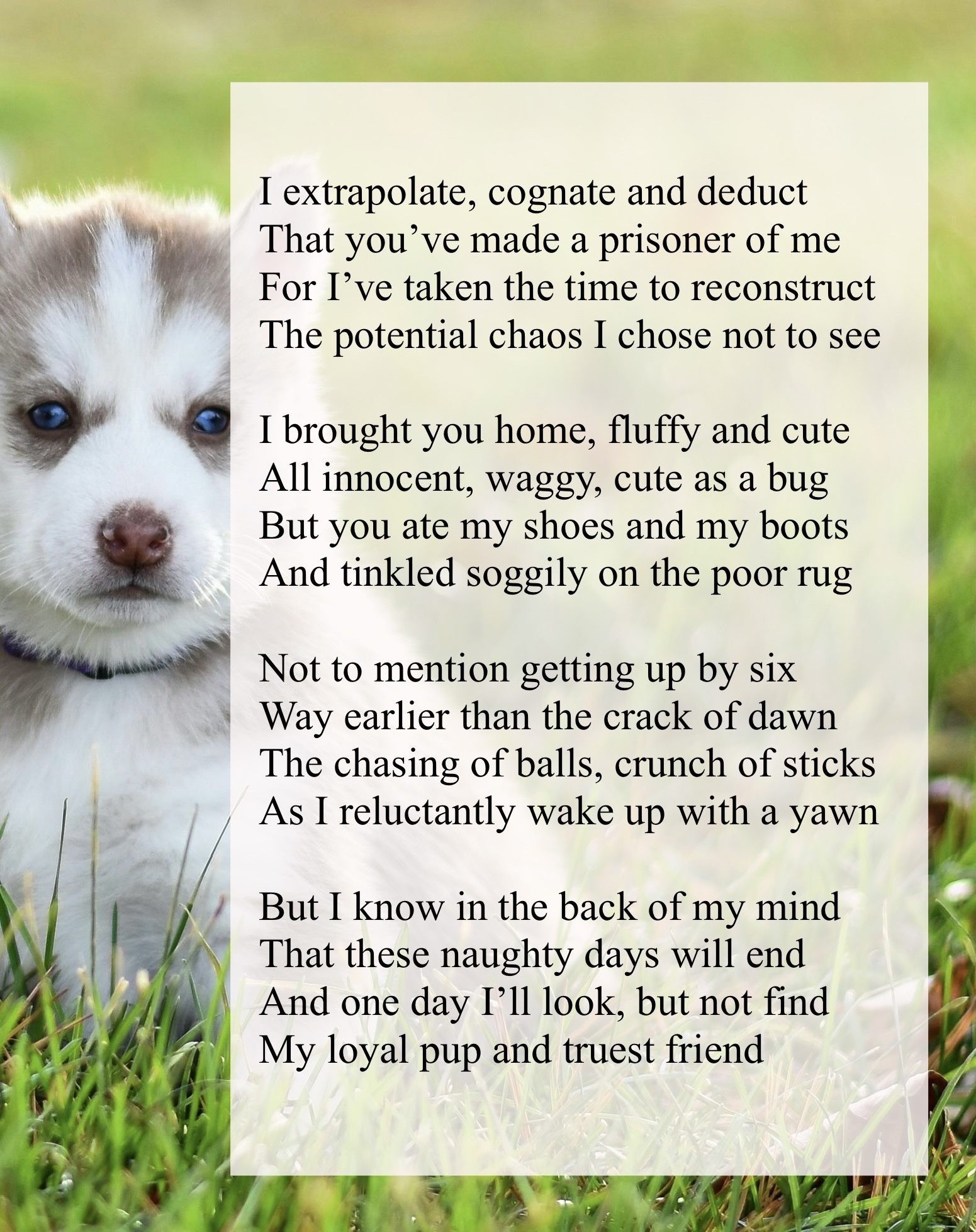 Poetry by Kelly Gray